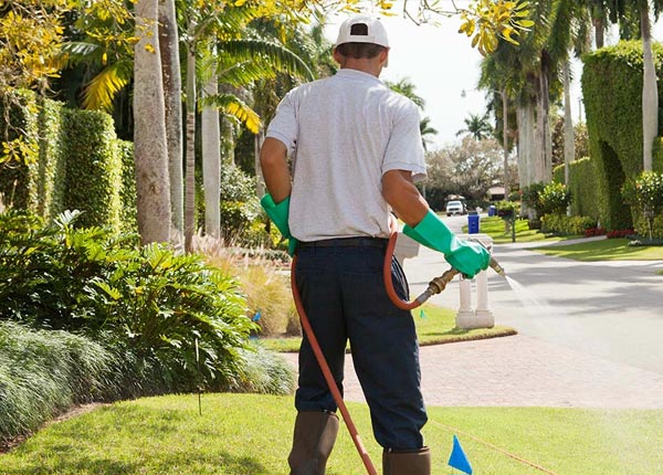 About Rochester TX Pest Control